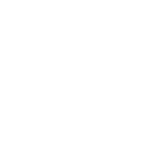 Vionest Services